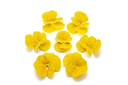 Виола обезвоженная "Солнечный рай" объёмная 15 шт